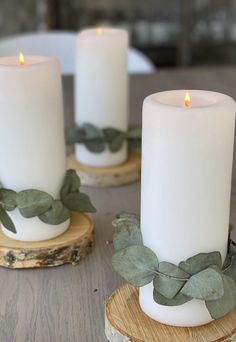 three white candles sitting on top of wooden slices with greenery around the candle holders