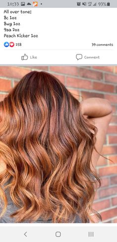 Hair Color, Shades, Long Hair Styles, Hair Styles, Makeup, Hair, Red