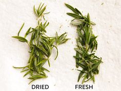 two different types of fresh herbs on a white surface with the words dried and fresh