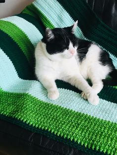 a black and white cat laying on top of a blanket