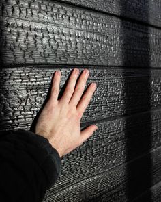 a person's hand on the side of a wooden wall