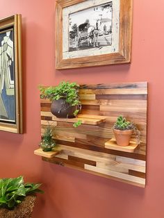 two potted plants sitting on wooden shelves in front of a pink wall with framed pictures