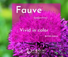 a purple flower with the words fauve above it