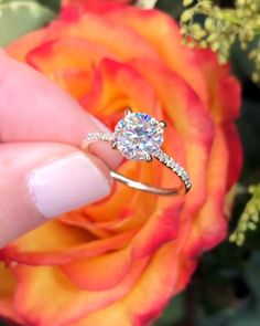 a hand holding a diamond ring in front of an orange rose with other flowers behind it