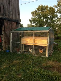 chickens are in their coop outside the barn