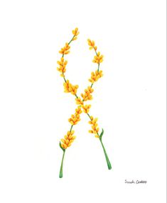 the letter k made up of yellow flowers on a white background, with green stems