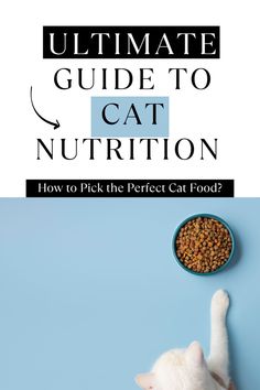 the ultimate guide to cat nutrition how to pick the perfect cat food for your cat