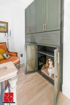 a dog is sitting in the open cabinet