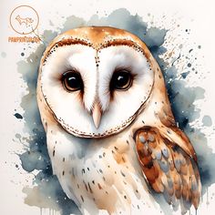 an owl painted in watercolor on a white background