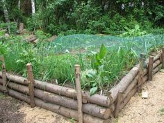 the garden is made out of logs and has plants growing in it, along with other vegetation