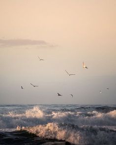 seagulls flying over the ocean at sunset with waves crashing in front of them