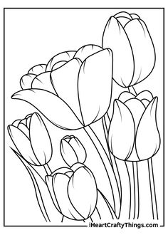 a black and white drawing of tulips