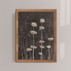 a black and white photo with dandelions hanging on the wall