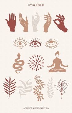 a poster with different types of hands and symbols on it's front cover, including the words living things