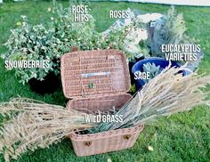 wicker baskets filled with plants and herbs on the grass