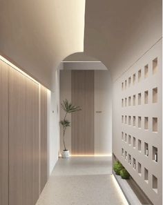 an empty hallway with a plant in the center and wooden paneling on the walls