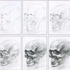 six different views of the same human skull, each with its own jaw and head