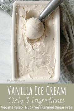 vanilla ice cream Diy Vegan Ice Cream, Diary Free Ice Cream Recipe, Homemade Vegan Ice Cream, Vegan Vanilla Ice Cream, Lactose Free Desserts, Lactose Free Ice Cream, Nut Free Desserts, Diet Bread