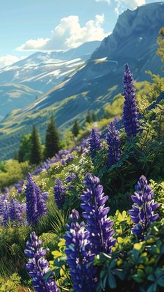 purple flowers in the foreground with mountains in the background