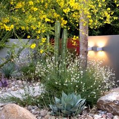 a garden filled with lots of plants and rocks next to yellow flowers in the background