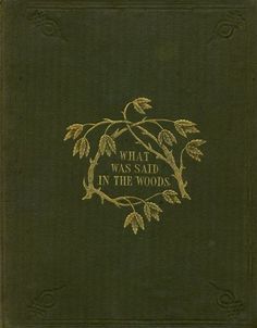 what was said in the woods? written by william wylock and illustrated by john m