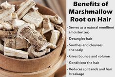 Marshmallow Root for Hair: 6 Benefits & Ways to Use It Marshmallow Root Benefits, Slippery Elm Benefits, Hair Conditioner Recipe, Stop Hair Breakage, Vitamins C, Herbal Healing, Herbs For Health, Diy Hair Care