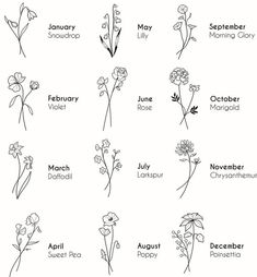 twelve months of the year with flowers in each month, and their names on them