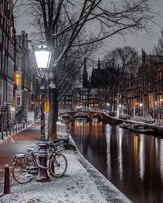 a bike parked next to a tree on the side of a river