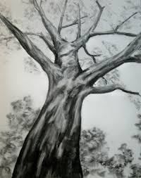 a black and white drawing of a tree