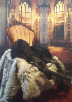 a black dog laying on top of a chair next to a painting with windows in the background