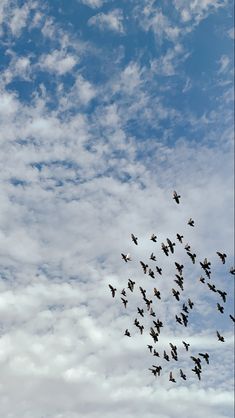 a flock of birds flying through a cloudy blue sky