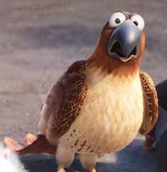 a close up of a bird on the ground with another animal in the back ground