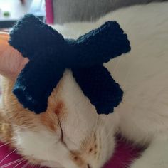 an orange and white cat with a blue bow on it's head laying down