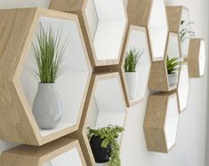 hexagonal wooden shelves with plants and vases on the wall in front of them