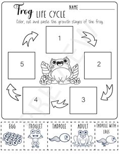 the frog life cycle worksheet for kids to learn how to draw and color