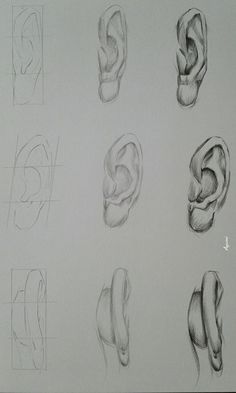 several different types of ear shapes drawn in pencil