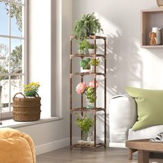 a living room filled with furniture and lots of plants on shelves next to a window