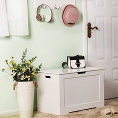 a white cabinet sitting next to a potted plant on top of a carpeted floor