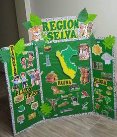 a green bulletin board with pictures of animals and plants on it, along with words that read region selva