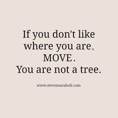 the quote if you don't like where you are, move you are not a tree