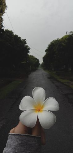 a person holding a white flower in the middle of a road with trees on both sides