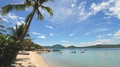 a beach with palm trees and boats in the water