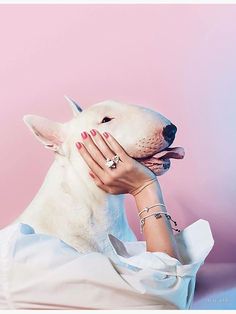 a white dog is being petted by a woman with her hand on it's face