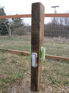 two toothbrushes stuck in a wooden post on the ground near a wire fence