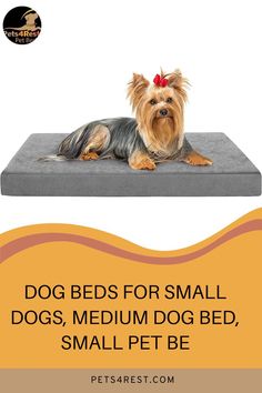 #dogmat #Mat #outdoordogmat #PetCrateMat #Best Dog Cooling  #Smallpetbed #Mediumdogbed #PetCrateMat #DirtyDogDoormat #DogDoormat  #dogmat #Mat #outdoordogmat #PetCrateMat #Best Dog Cooling  #Smallpetbed #Mediumdogbed #PetCrateMat #DirtyDogDoormat #DogDoormat  #dogmat #Mat #outdoordogmat #PetCrateMat #Best Dog Cooling  #Smallpetbed #Mediumdogbed #PetCrateMat #DirtyDogDoormat #DogDoormat  #dogmat #Mat #outdoordogmat #PetCrateMat #Best Dog Cooling  #Smallpetbed #Mediumdogbed #PetCrateMat Waterproof Dog Bed, Outdoor Dog Bed, Dog Beds For Small Dogs, Cool Dog Beds