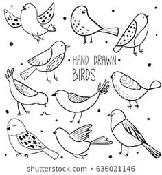 hand drawn birds in black and white