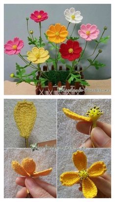 crocheted flowers are being displayed in different stages of blooming, and the process is