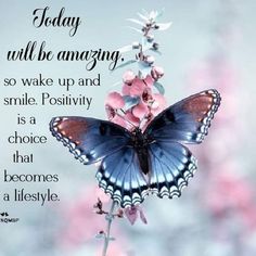 a blue butterfly sitting on top of a pink flower with a quote about today will be amazing