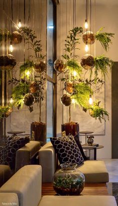 a living room filled with lots of furniture and plants hanging from the ceiling above them