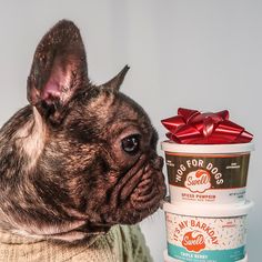 I Honey Cinnamon, Tis The Season, Holiday Cheer, For Dogs, Ginger, Cinnamon